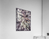 V520 Acrylic Print