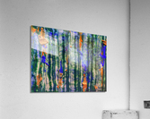V521 Acrylic Print