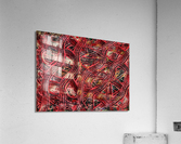 V522 Acrylic Print