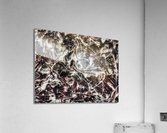 V523 Acrylic Print
