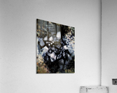 V532 Acrylic Print