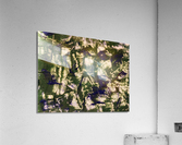 V533 Acrylic Print