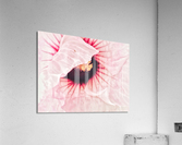 V546 Acrylic Print