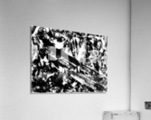 V553 Acrylic Print