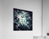 V555 Acrylic Print