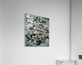 V558 Acrylic Print