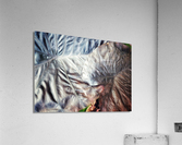V560 Acrylic Print
