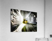 V561 Acrylic Print