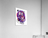 V568 Acrylic Print