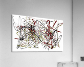 V579 Acrylic Print