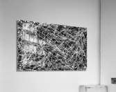 V580 Acrylic Print