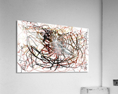 V584 Acrylic Print