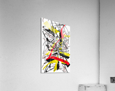 V590 Acrylic Print