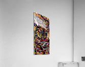 V600 Acrylic Print