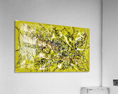 V601 Acrylic Print