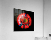 V603 Acrylic Print