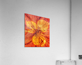 V606 Acrylic Print