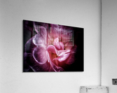 V608 Acrylic Print