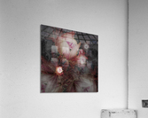 V610 Acrylic Print