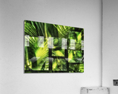 V611 Acrylic Print