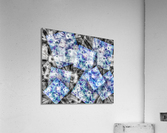 V613 Acrylic Print