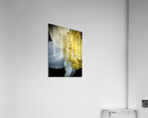V614 Acrylic Print