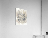 V616 Acrylic Print