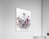 V617 Acrylic Print