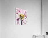 V628 Acrylic Print