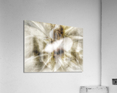 V635 Acrylic Print