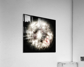 V636 Acrylic Print