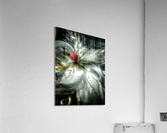 V638 Acrylic Print