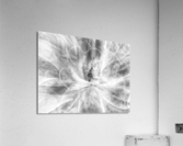 V639 Acrylic Print