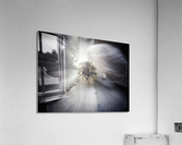 V641 Acrylic Print