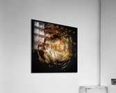 V642 Acrylic Print
