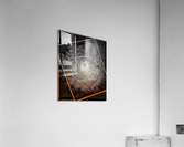  V646 Acrylic Print