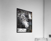 V647 Acrylic Print