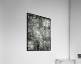 V650 Acrylic Print