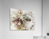 V651 Acrylic Print