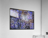 V653 Acrylic Print