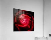 V656 Acrylic Print
