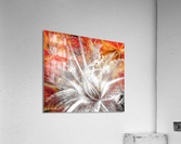 V658 Acrylic Print