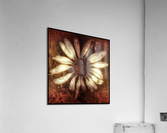 V659 Acrylic Print