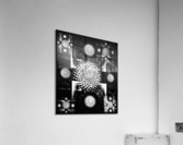 V663 Acrylic Print
