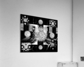 V664 Acrylic Print