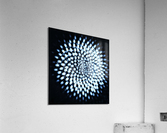 V665 Acrylic Print