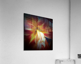 V670 Acrylic Print