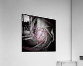 V675 Acrylic Print
