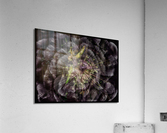 V676 Acrylic Print
