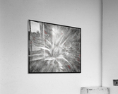 V677 Acrylic Print